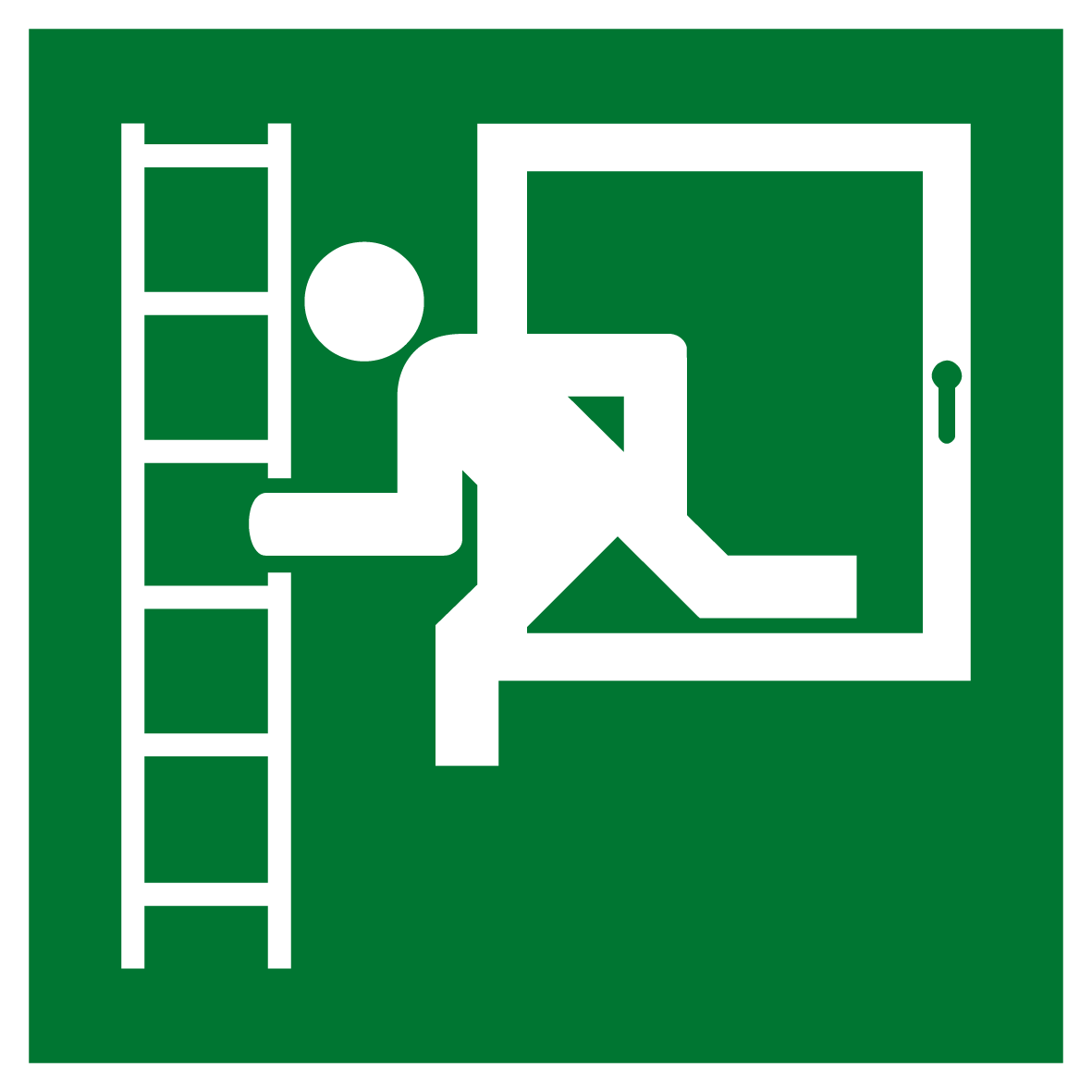Rettungs- & Fluchtwegschild - Notausstieg mit Fluchtleiter links