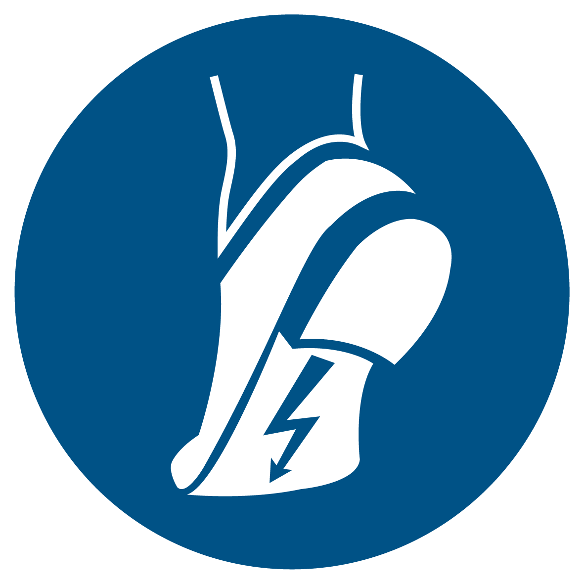 Gebotsschild - Antistatisches Schuhwerk benutzen